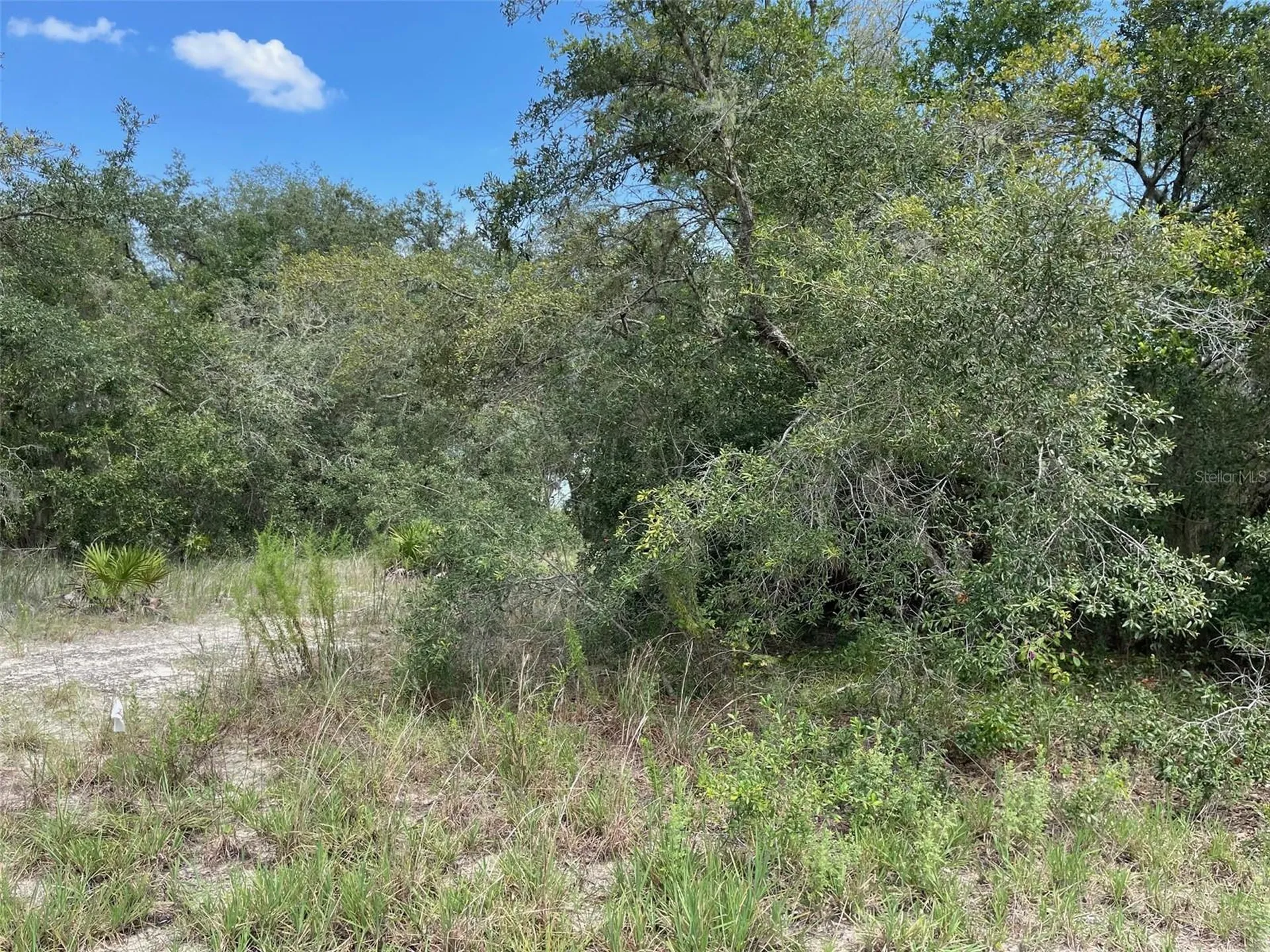 Lots 462 & 463 SW Shorewood Drive Dunnellon FL 34431