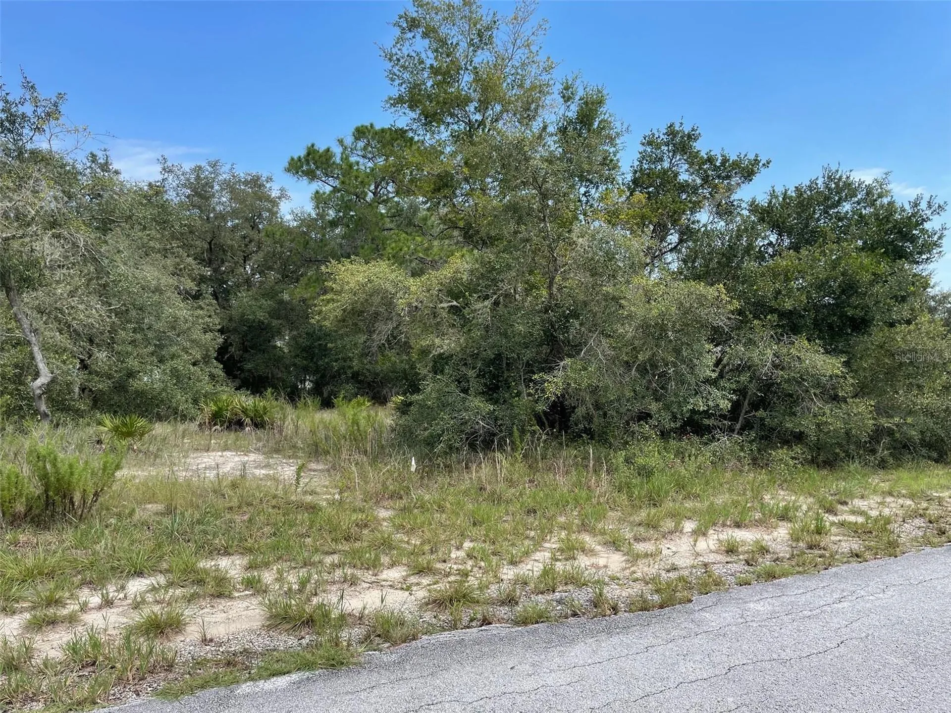 Lots 462 & 463 SW Shorewood Drive Dunnellon FL 34431