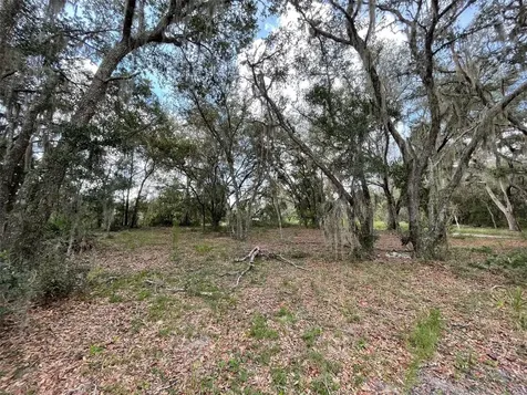 Lots 462 & 463 SW Shorewood Drive Dunnellon FL 34431