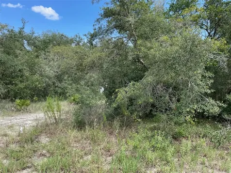 Lots 462 & 463 SW Shorewood Drive Dunnellon FL 34431