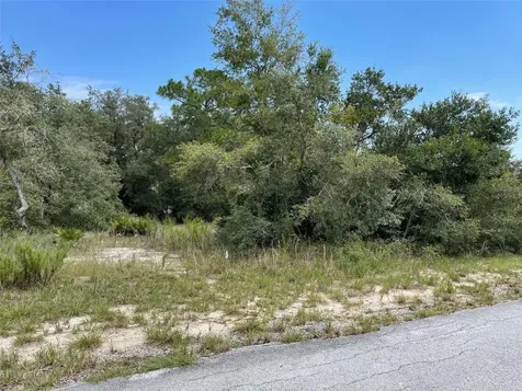 Lots 462 & 463 SW Shorewood Drive Dunnellon FL 34431