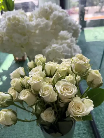 1150 Douglas Avenue Altamonte Springs FL 32714