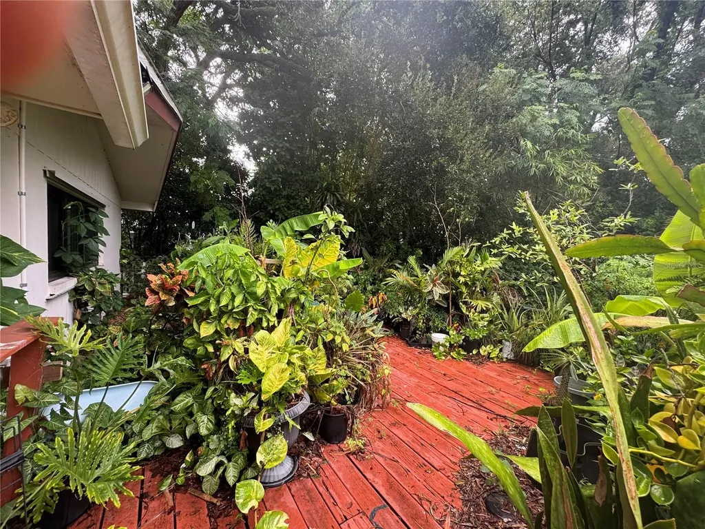 1680 Sunset Point Road Clearwater FL 33755
