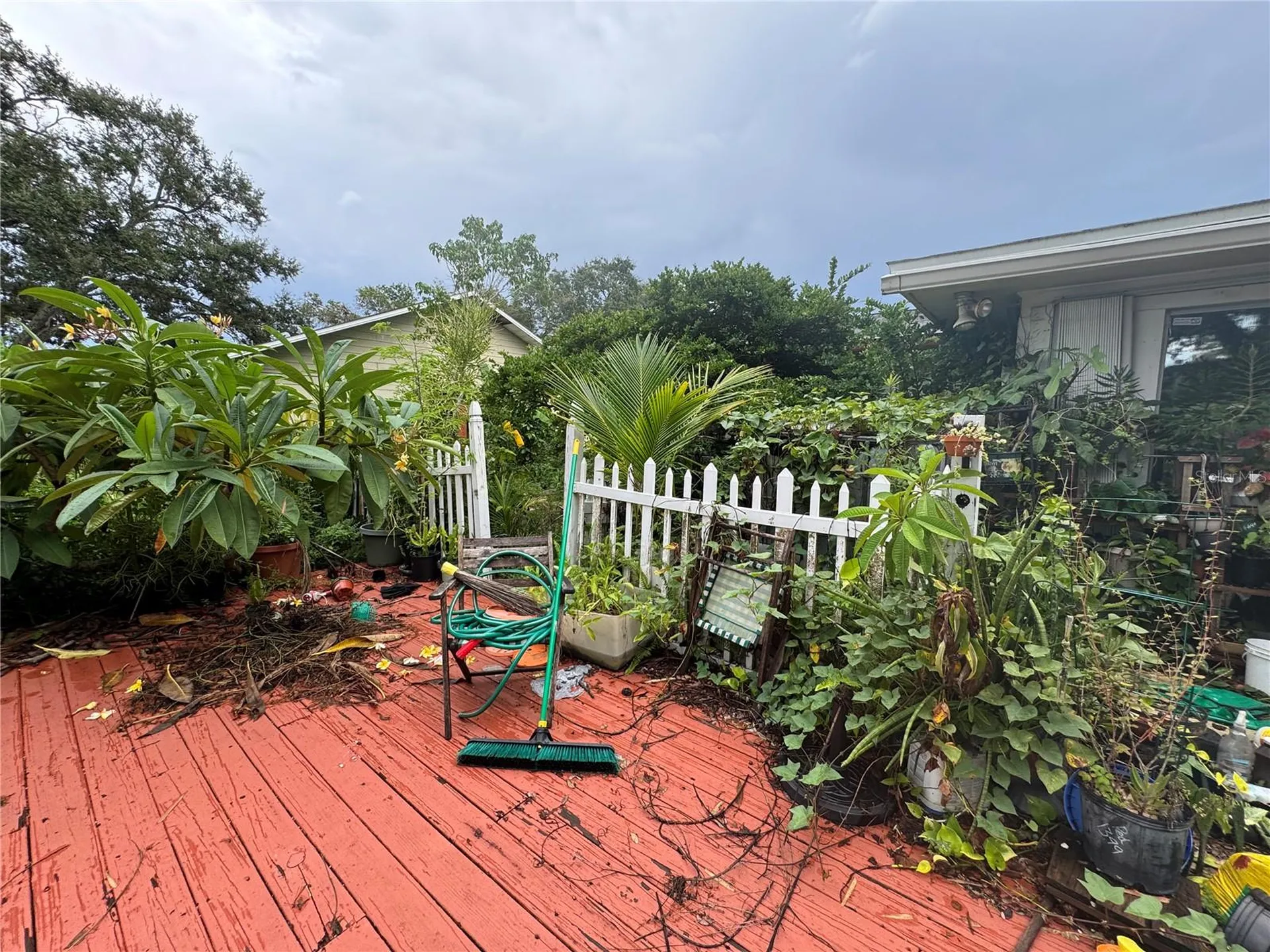1680 Sunset Point Road Clearwater FL 33755