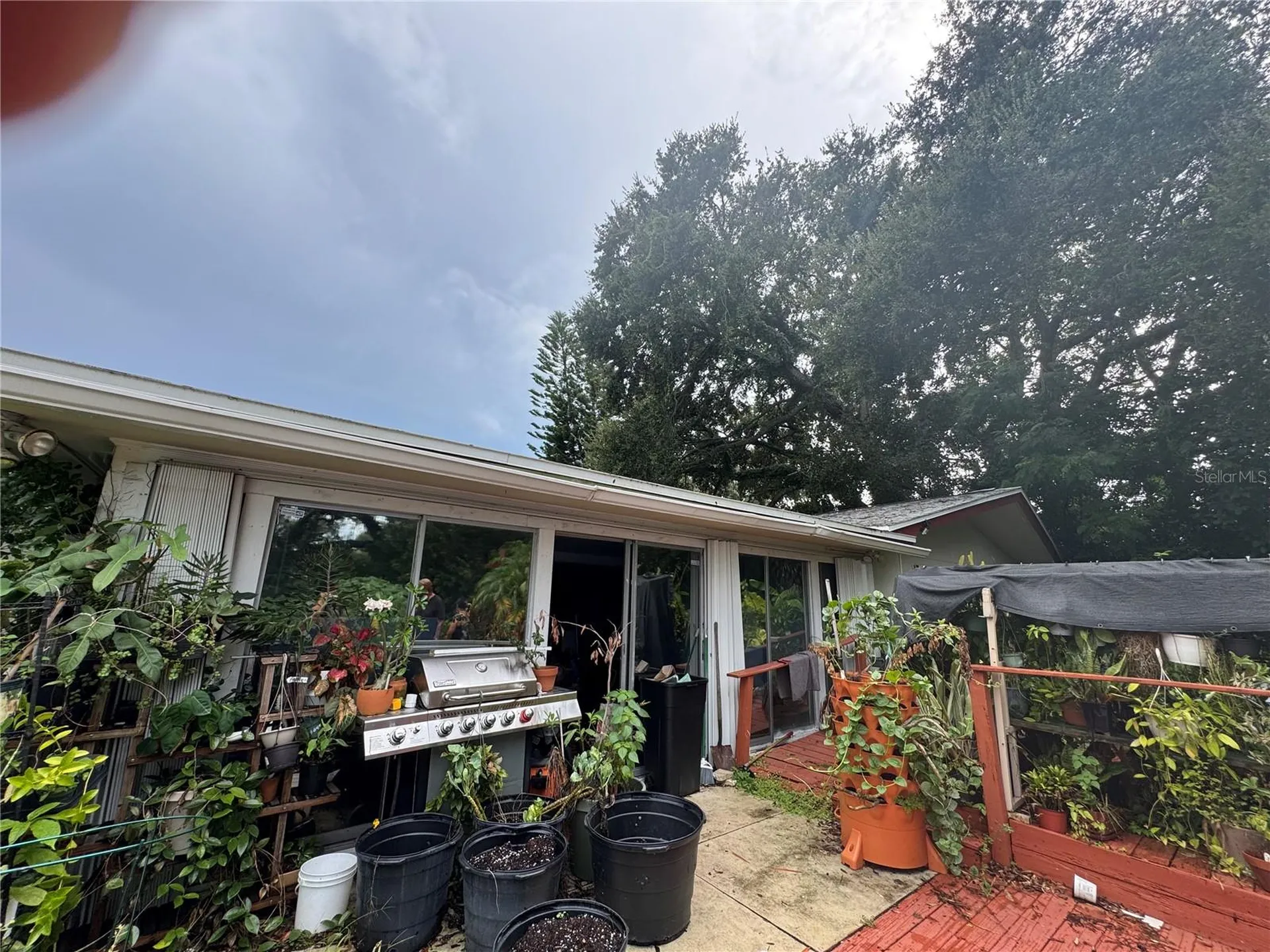 1680 Sunset Point Road Clearwater FL 33755