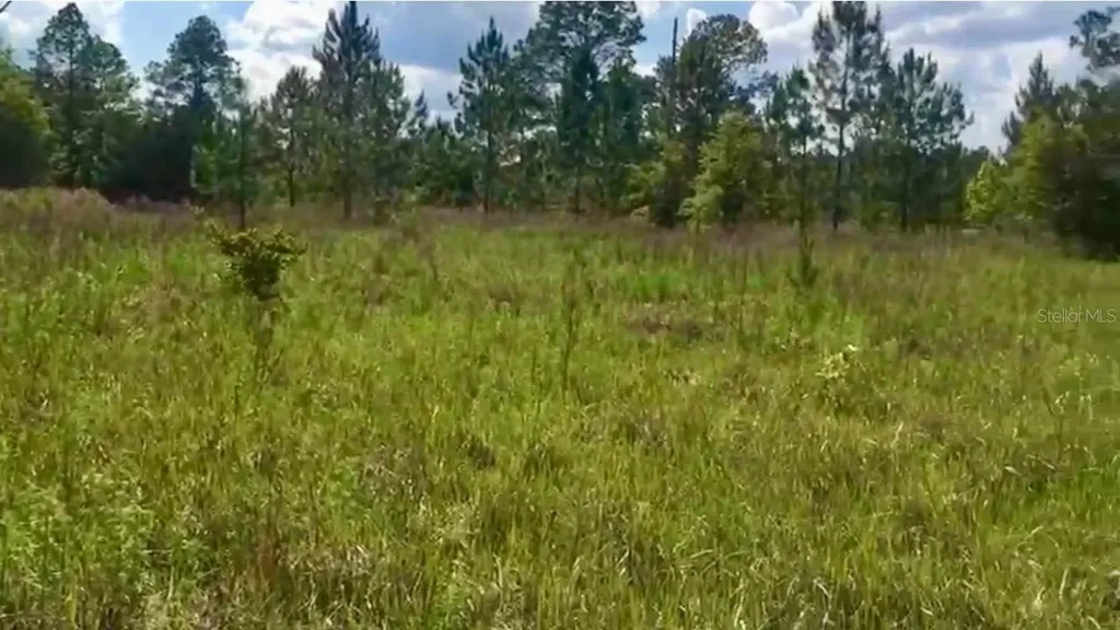 20 & 21 SW Azalea Dunnellon FL 34431
