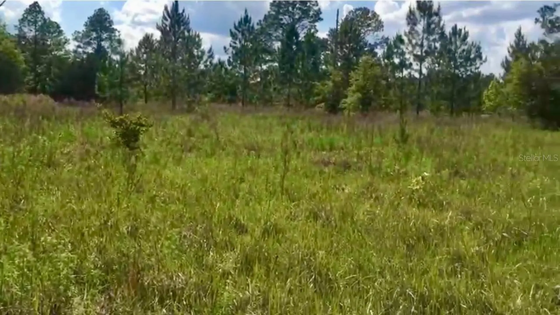 20 & 21 SW Azalea Dunnellon FL 34431