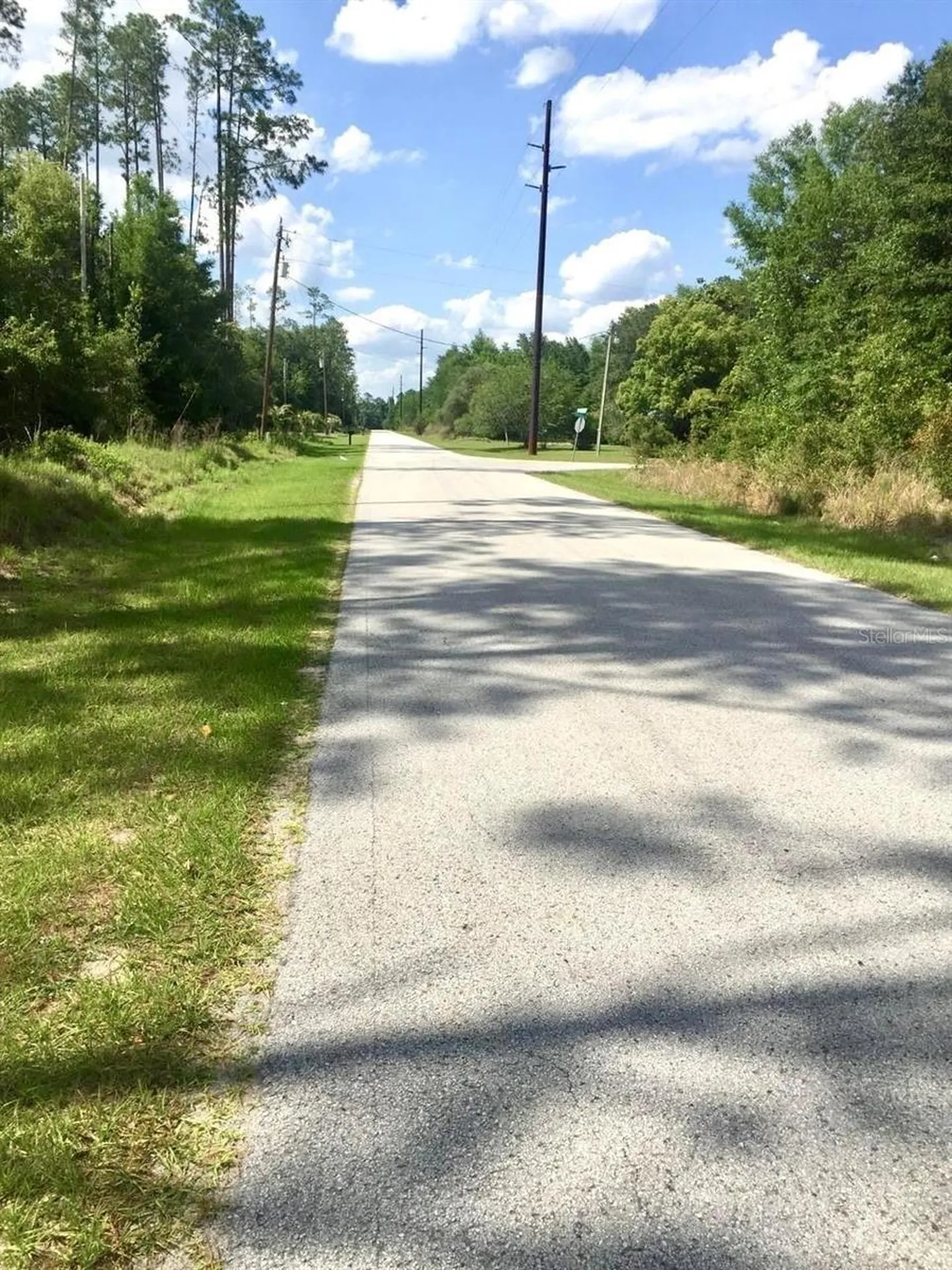 20 & 21 SW Azalea Dunnellon FL 34431