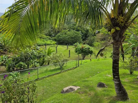 Bo. Tejas Lote #2 Carr. 901 Km. 5.2 Yabucoa PR 00767