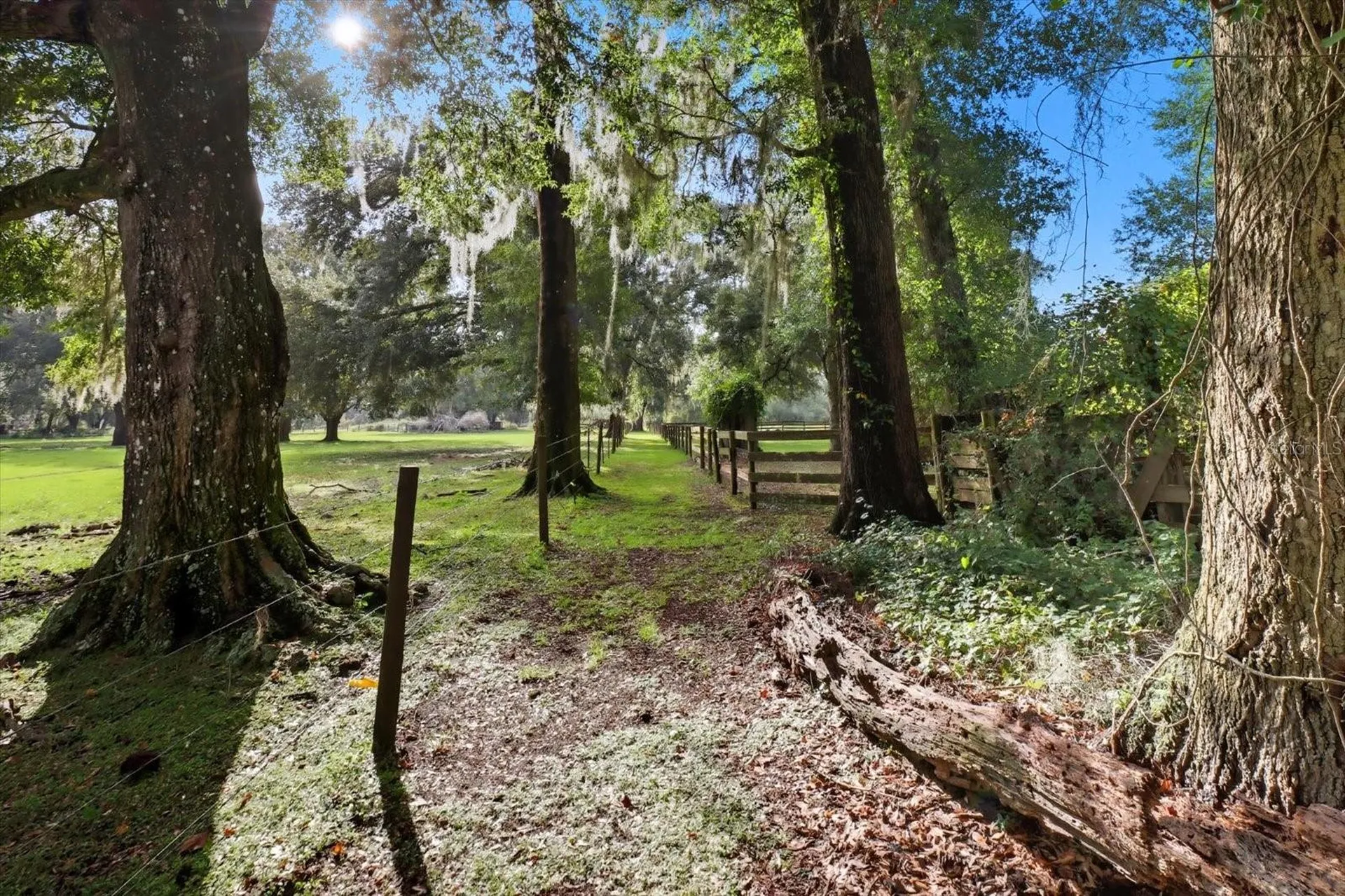 12550 SW 16th Avenue Ocala FL 34473