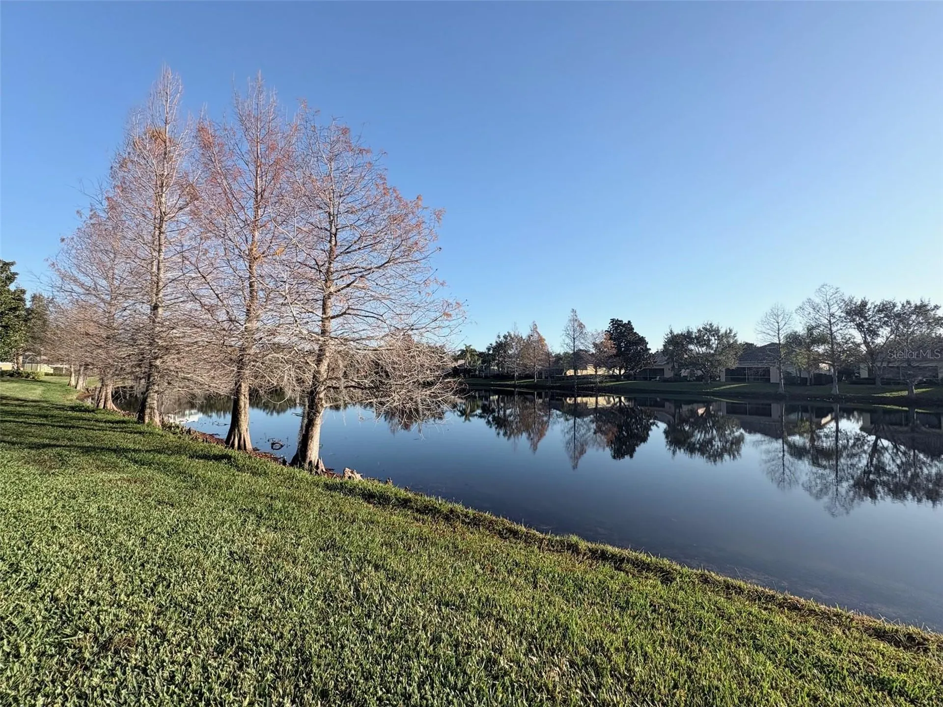 11887 Delfina Lane Orlando FL 32827