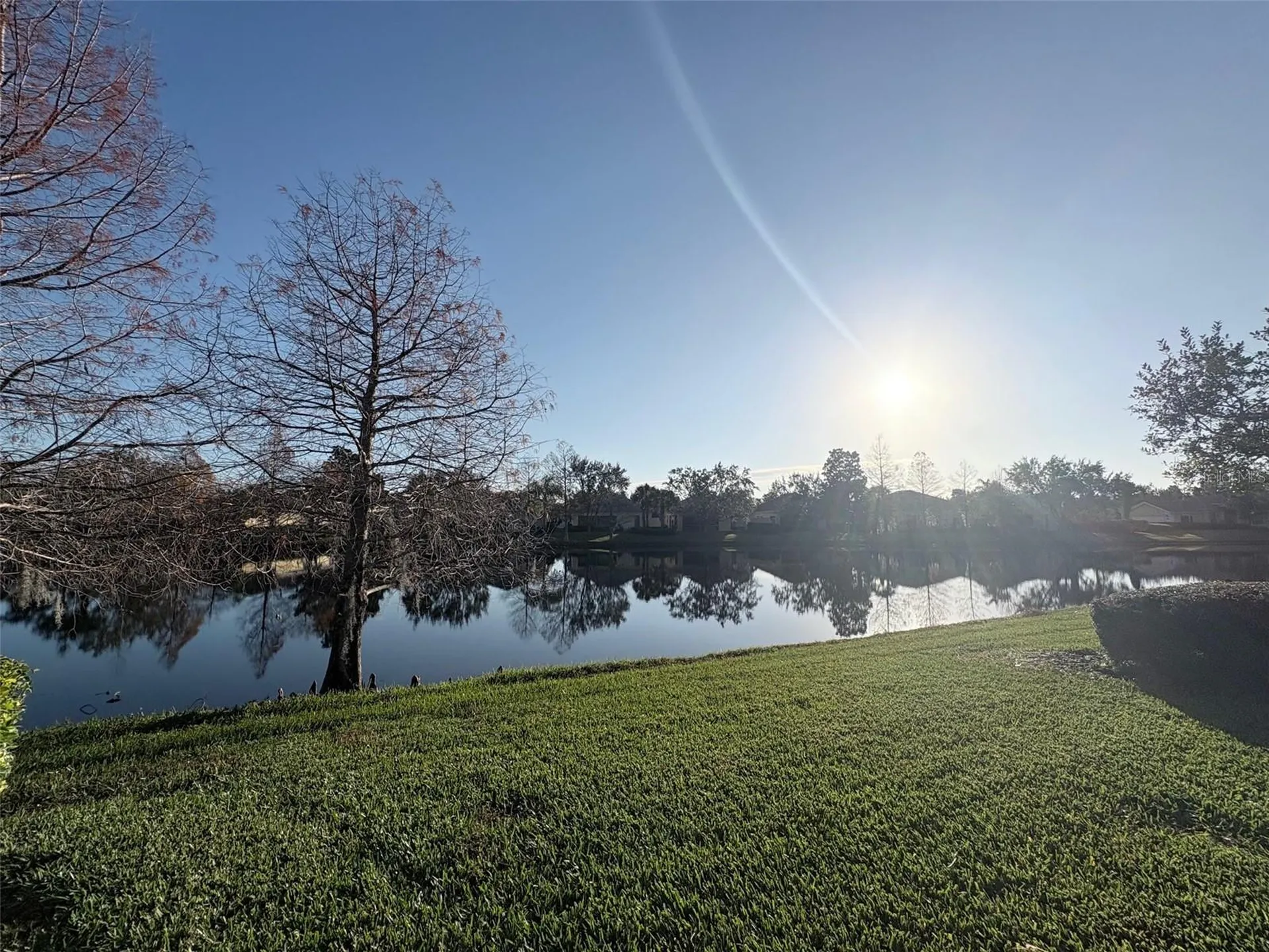 11887 Delfina Lane Orlando FL 32827