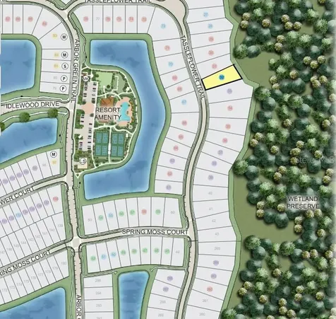 949 Tassleflower Trail St Cloud FL 34771