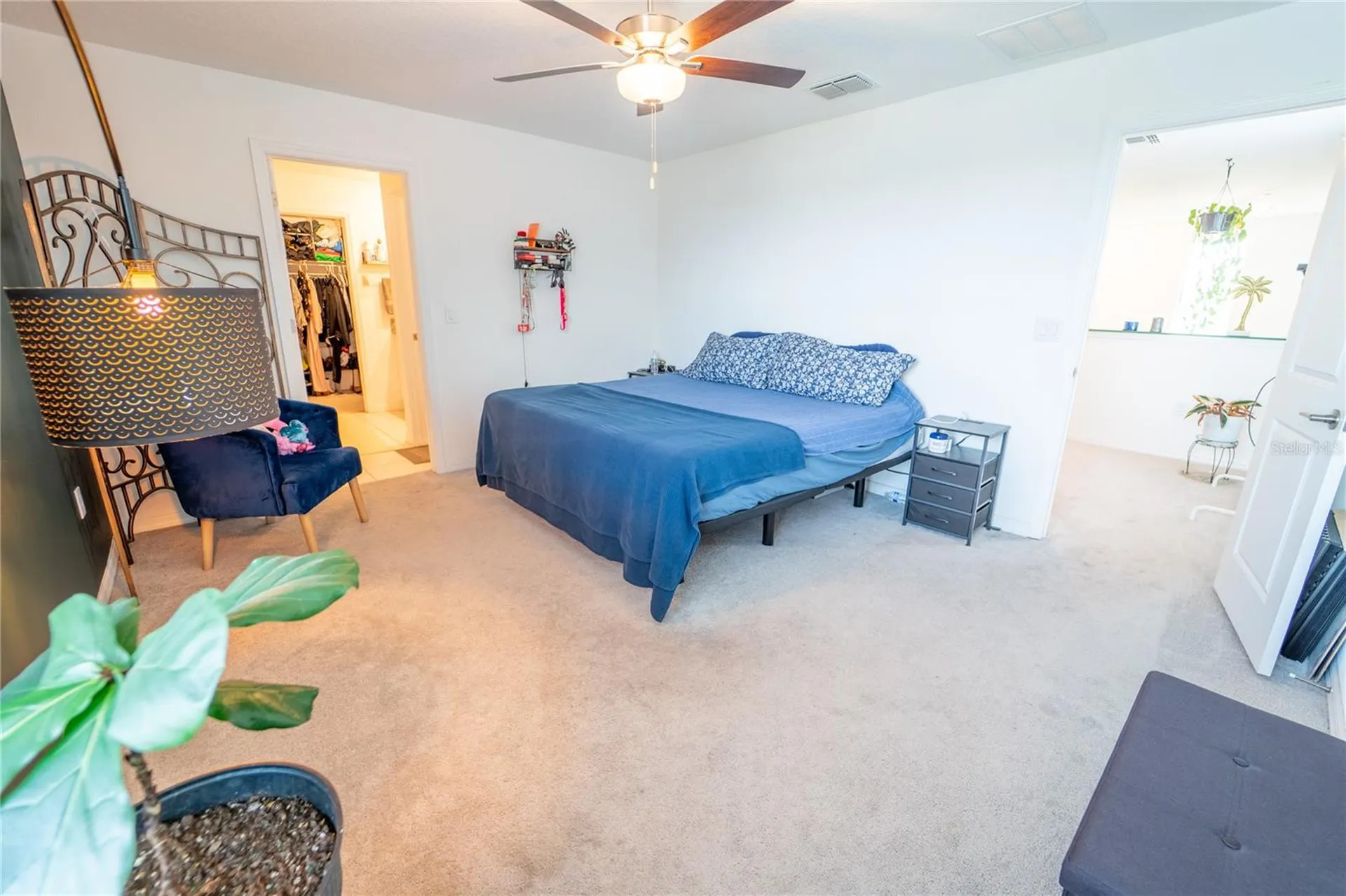 5545 Blue Azure Drive Wimauma FL 33598