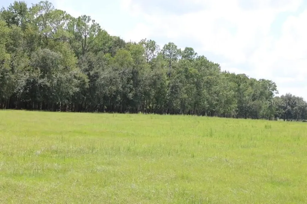 Green Swamp Road Clermont FL 34714