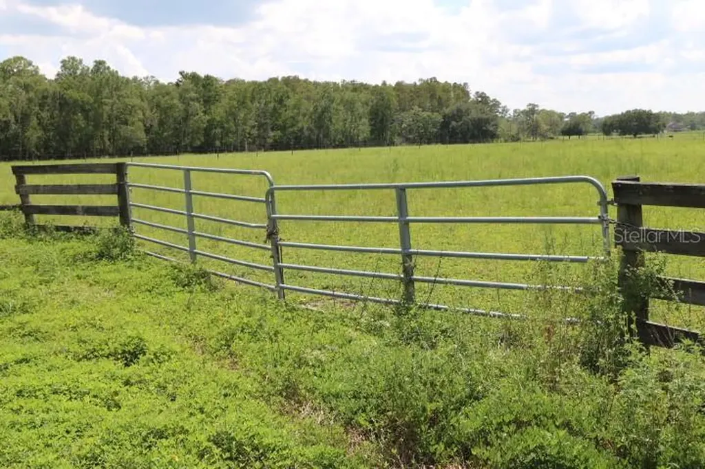 Green Swamp Road Clermont FL 34714