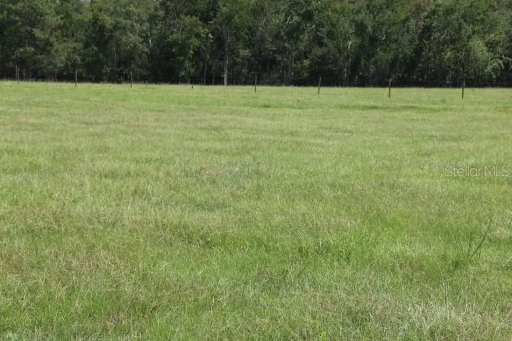 Green Swamp Road Clermont FL 34714