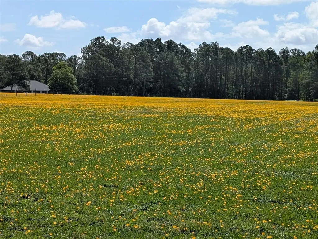 Green Swamp Road Clermont FL 34714