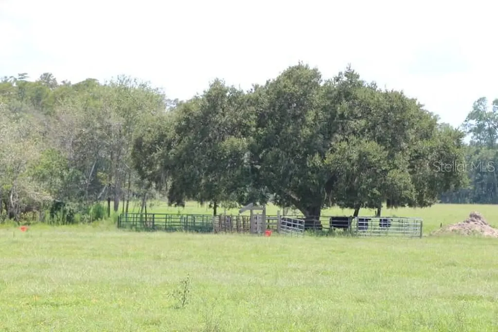 Green Swamp Road Clermont FL 34714
