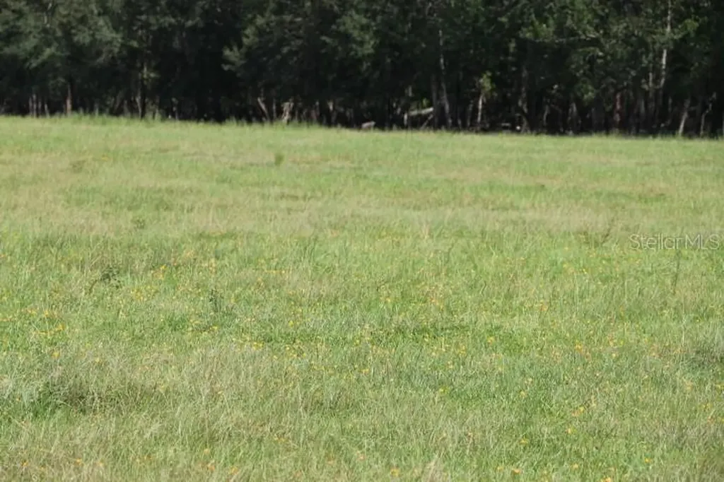 Green Swamp Road Clermont FL 34714