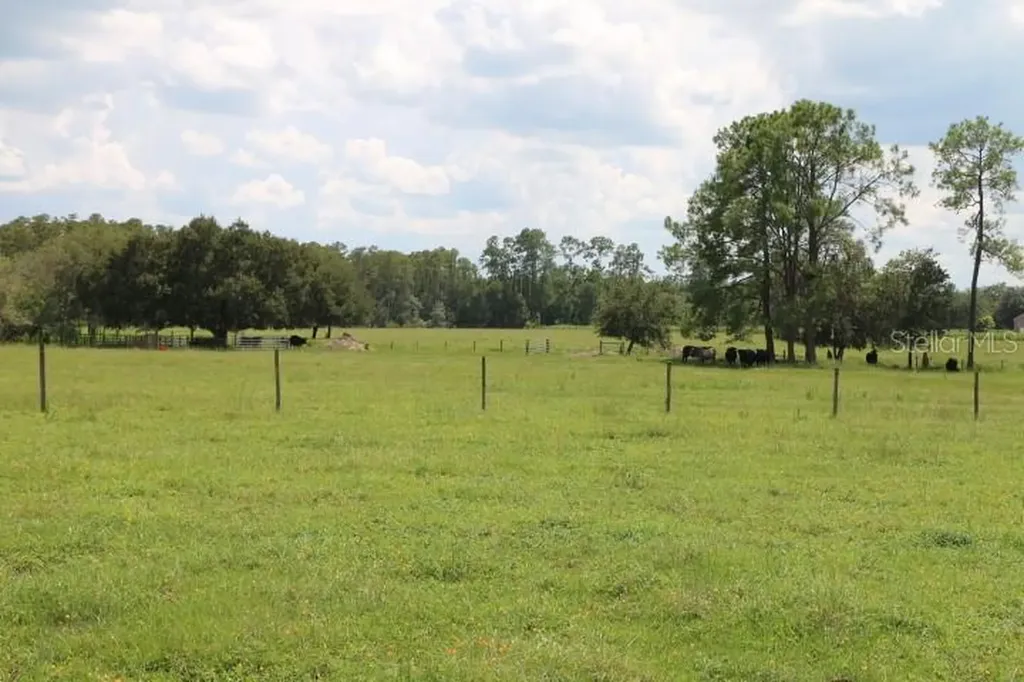 Green Swamp Road Clermont FL 34714