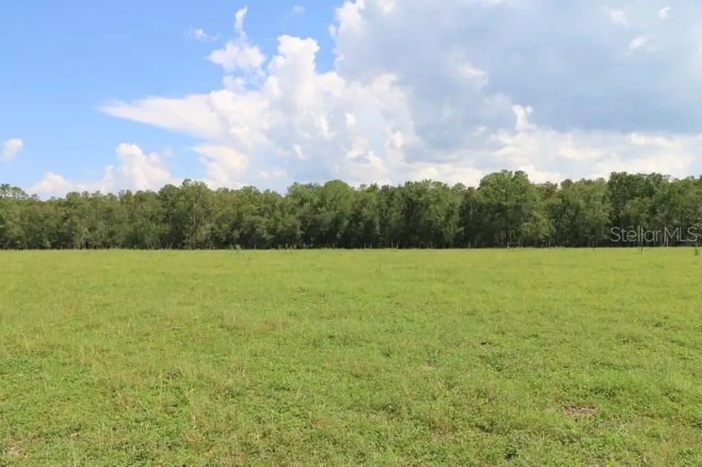 Green Swamp Road Clermont FL 34714