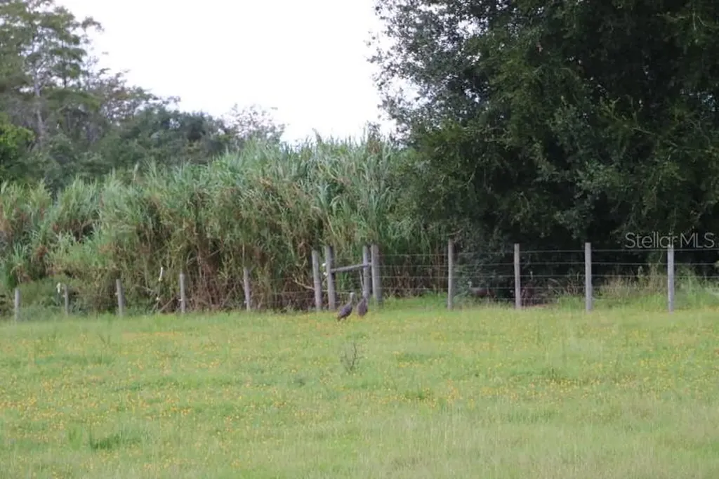 Green Swamp Road Clermont FL 34714