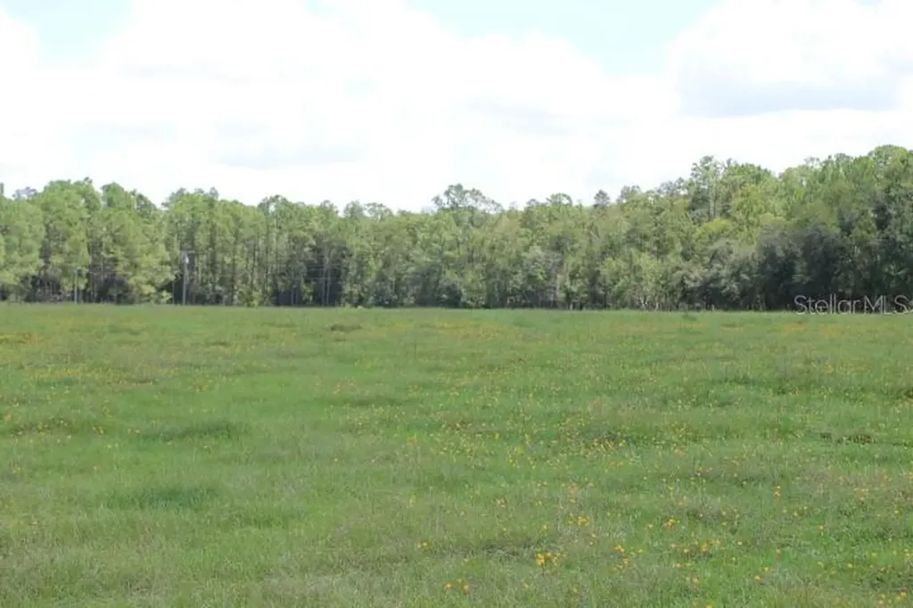 Green Swamp Road Clermont FL 34714