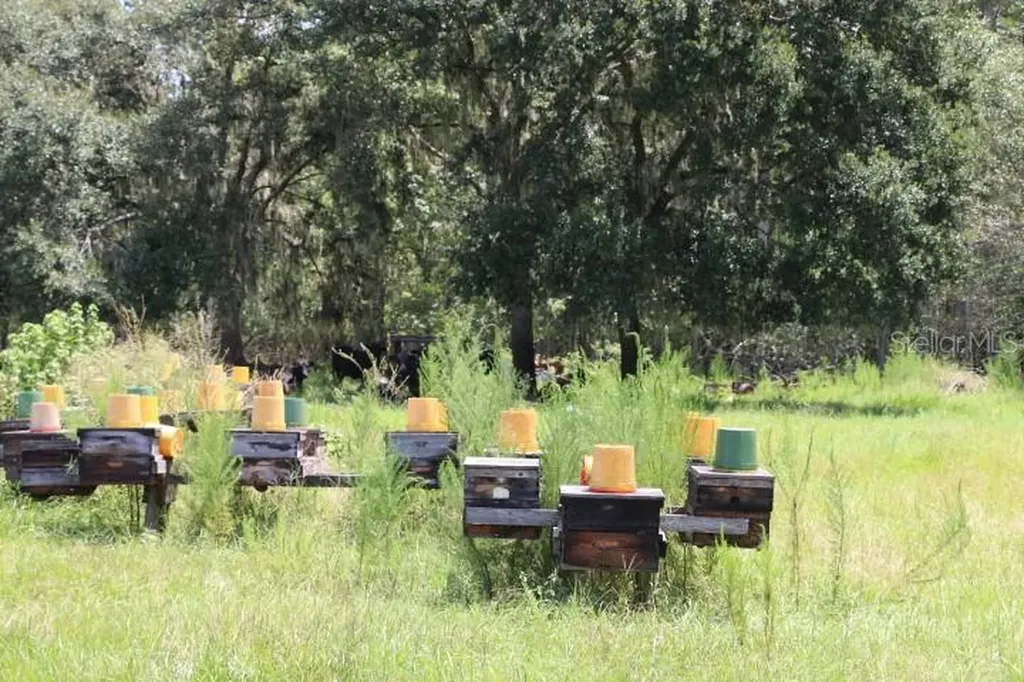 Green Swamp Road Clermont FL 34714