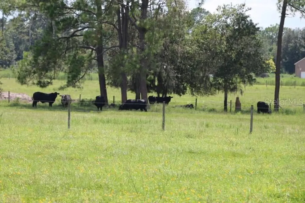 Green Swamp Road Clermont FL 34714
