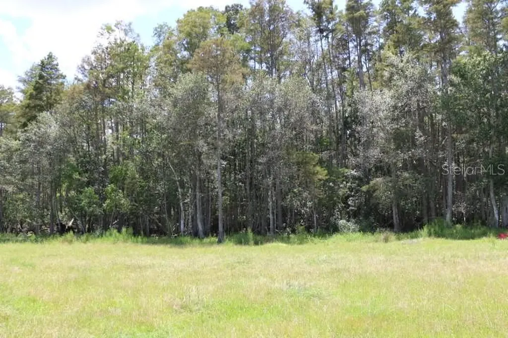 Green Swamp Road Clermont FL 34714