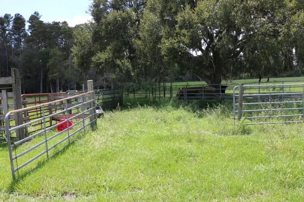 Green Swamp Road Clermont FL 34714