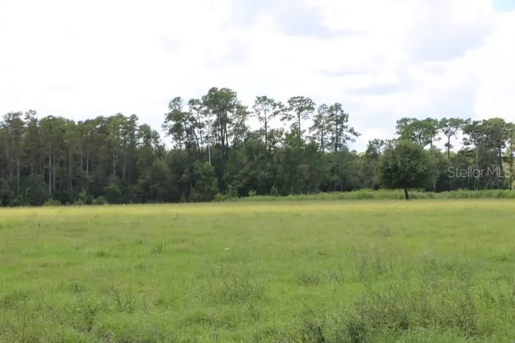 Green Swamp Road Clermont FL 34714