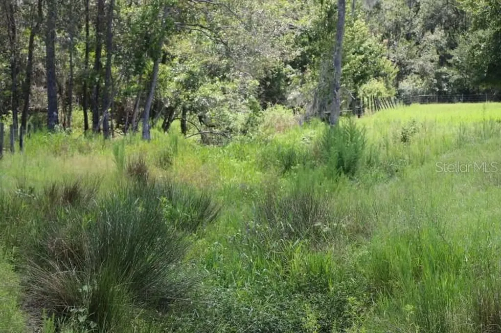 Green Swamp Road Clermont FL 34714
