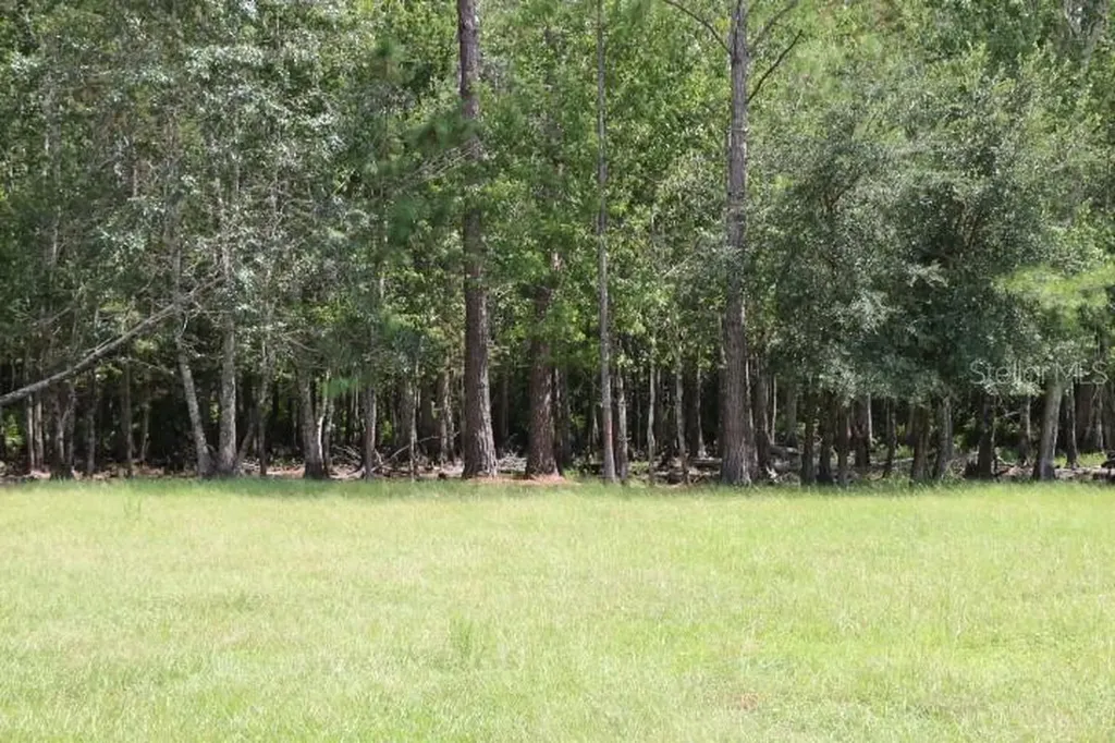 Green Swamp Road Clermont FL 34714