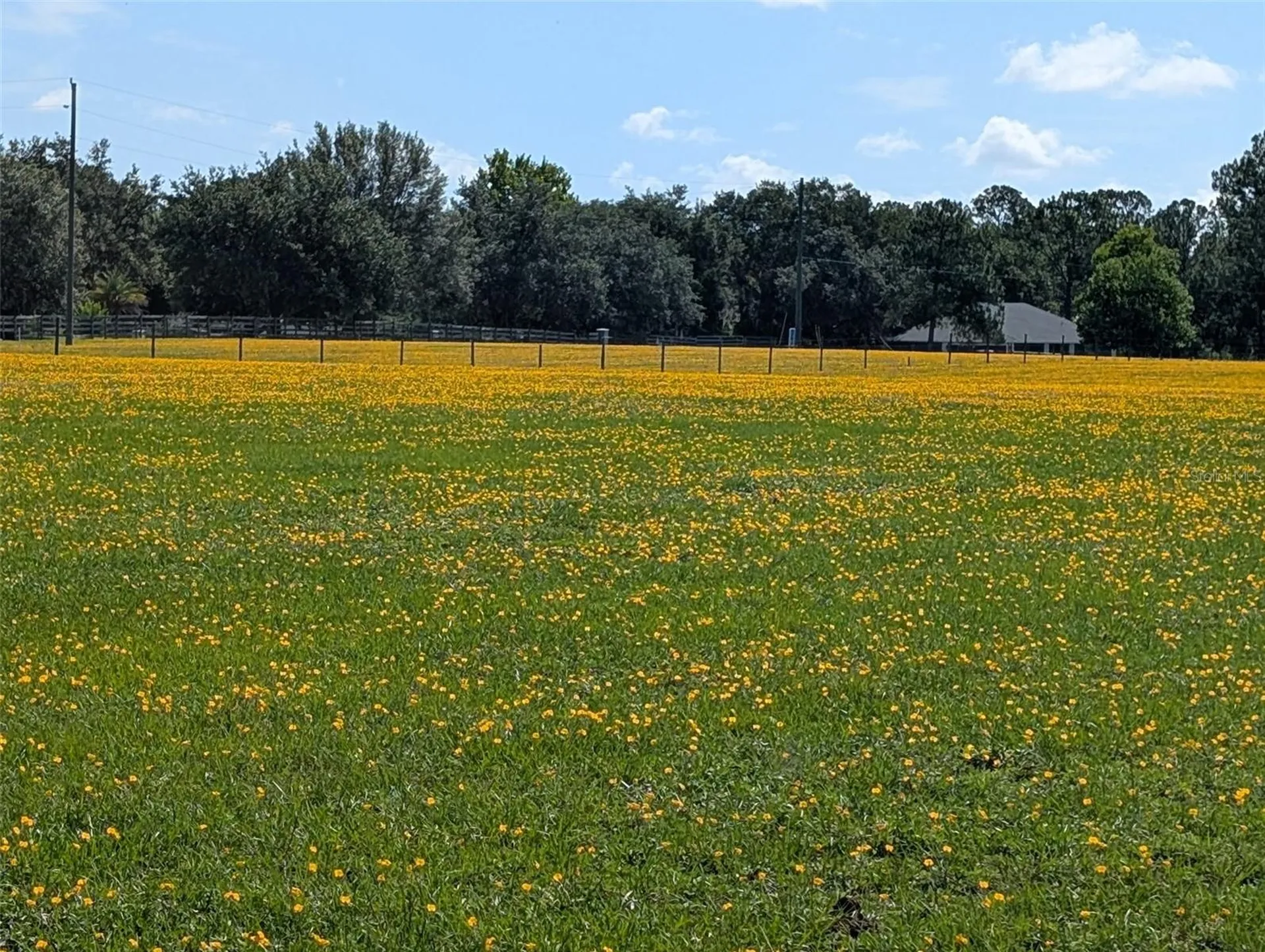 Green Swamp Road Clermont FL 34714