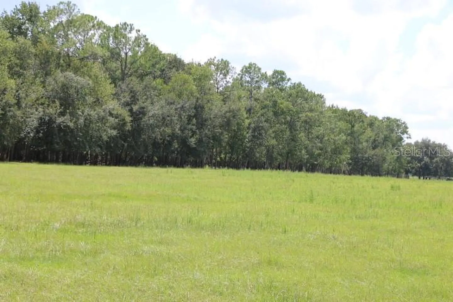 Green Swamp Road Clermont FL 34714