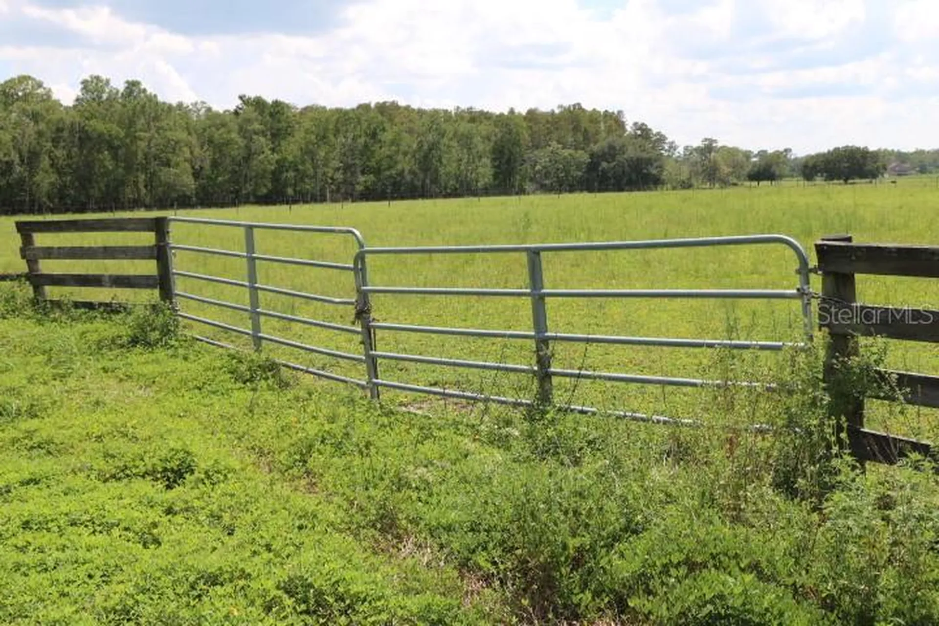 Green Swamp Road Clermont FL 34714