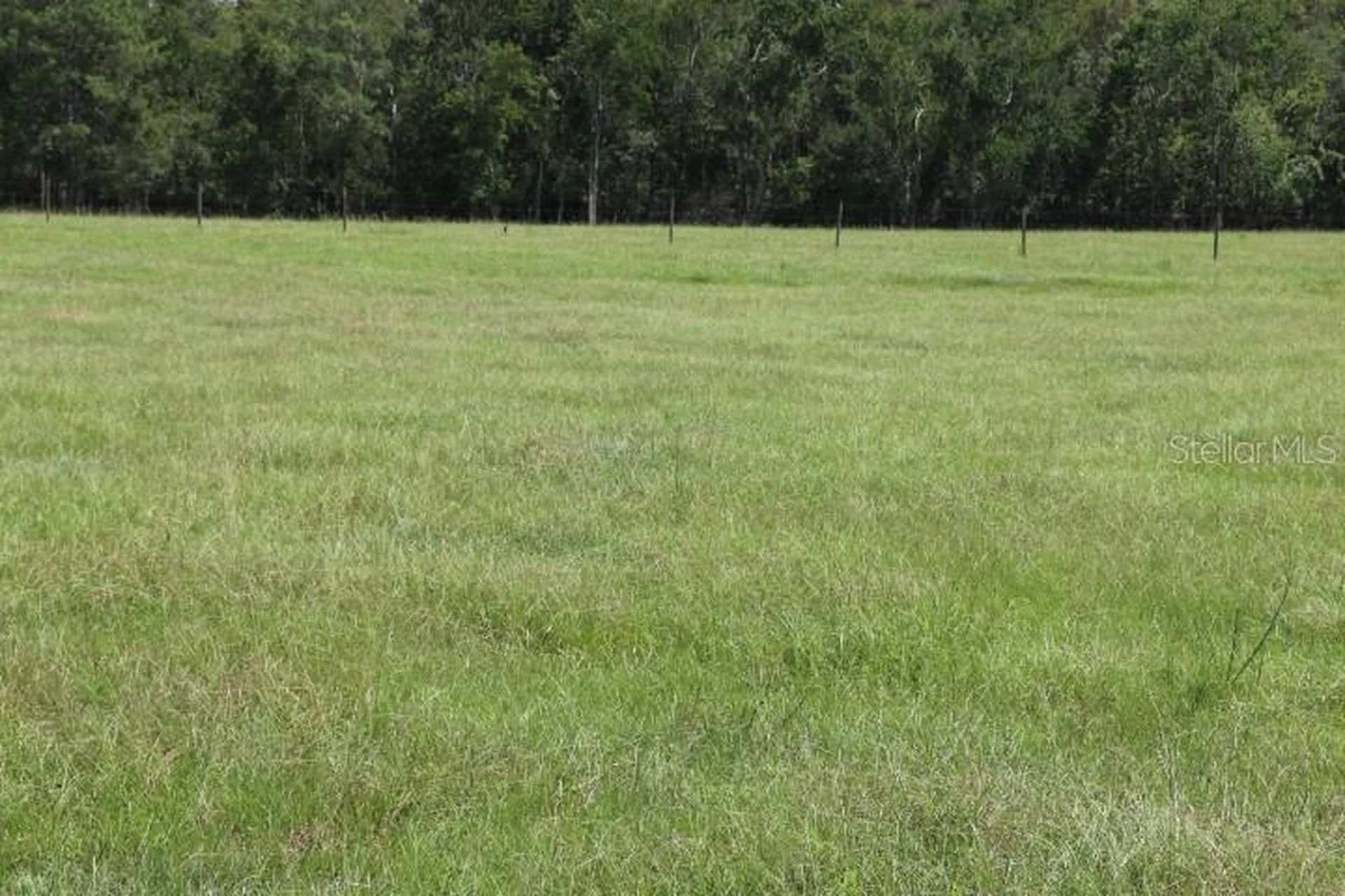 Green Swamp Road Clermont FL 34714