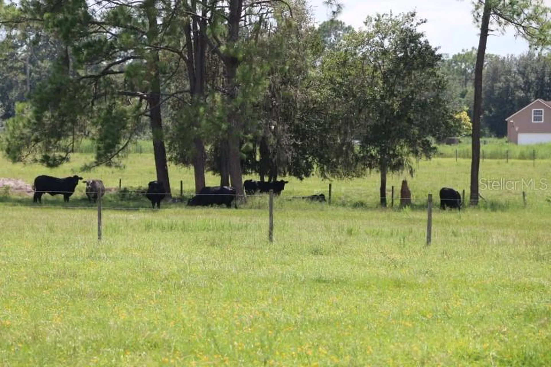 Green Swamp Road Clermont FL 34714