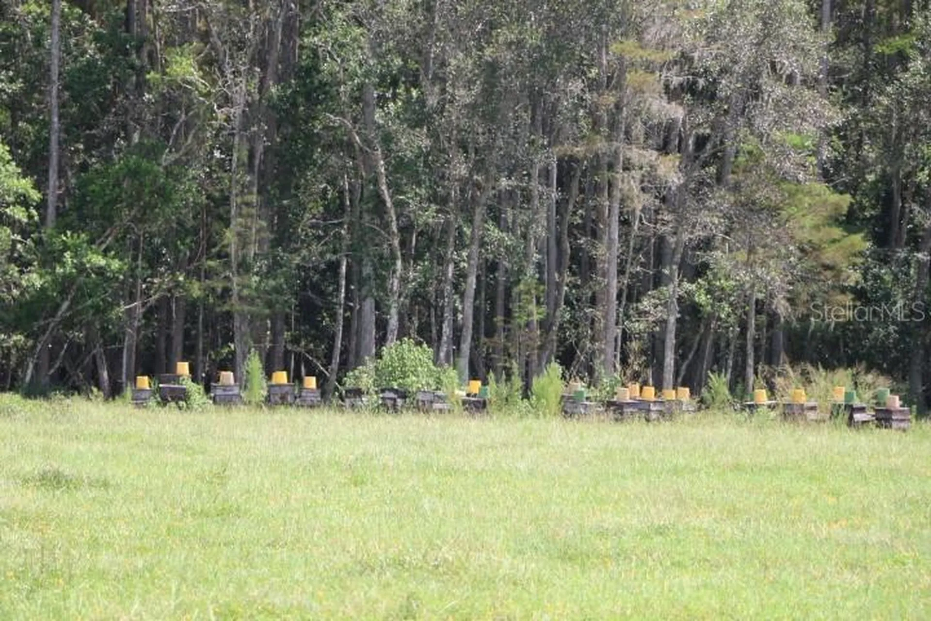 Green Swamp Road Clermont FL 34714
