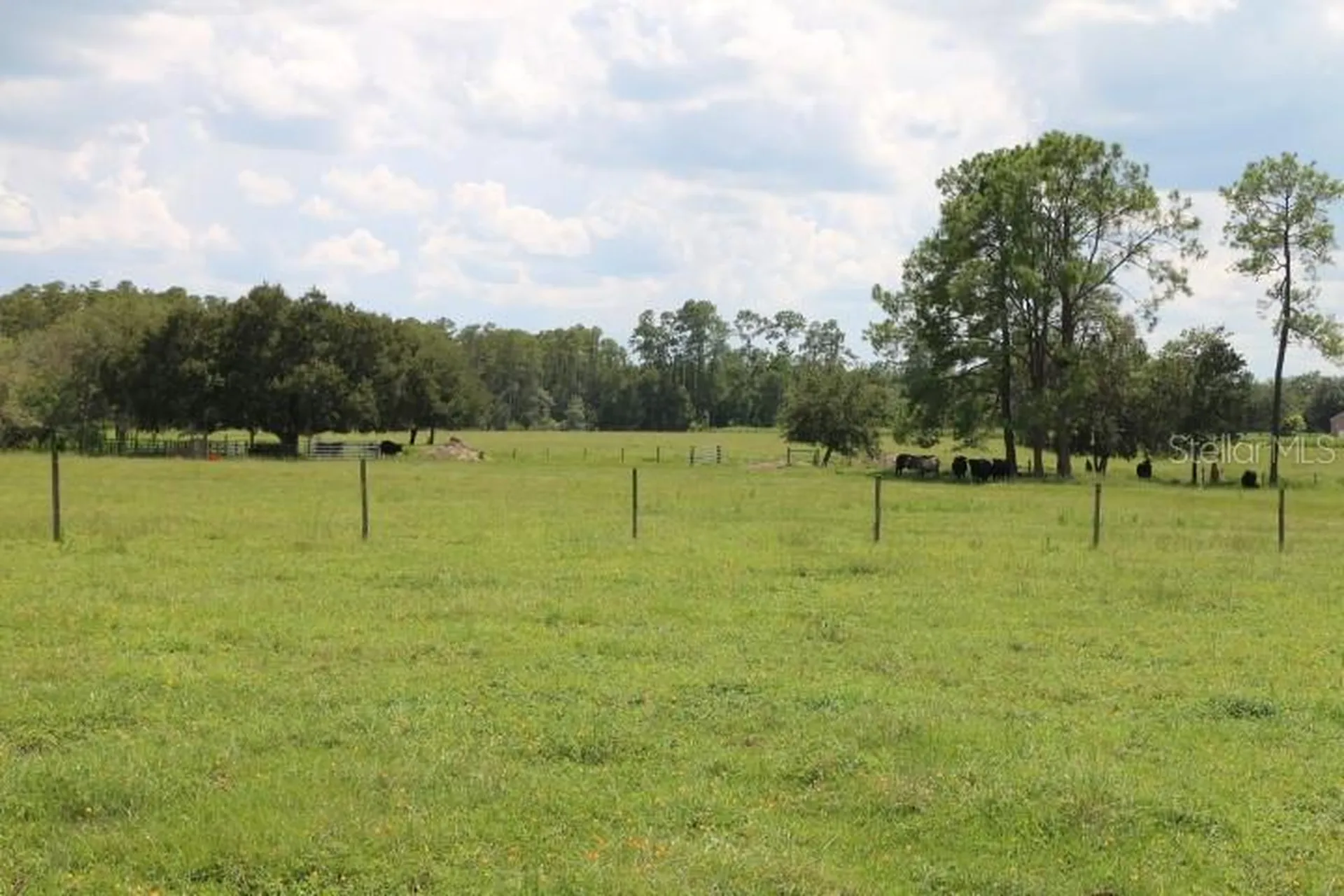Green Swamp Road Clermont FL 34714