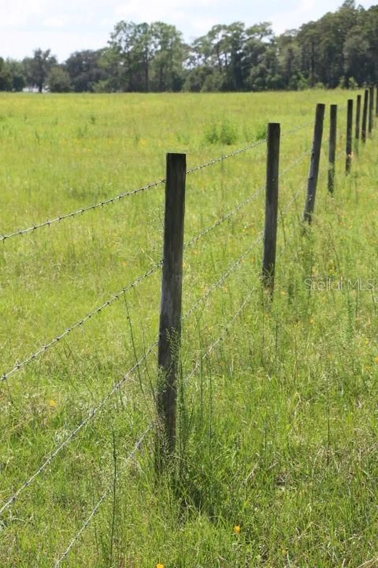 Green Swamp Road Clermont FL 34714