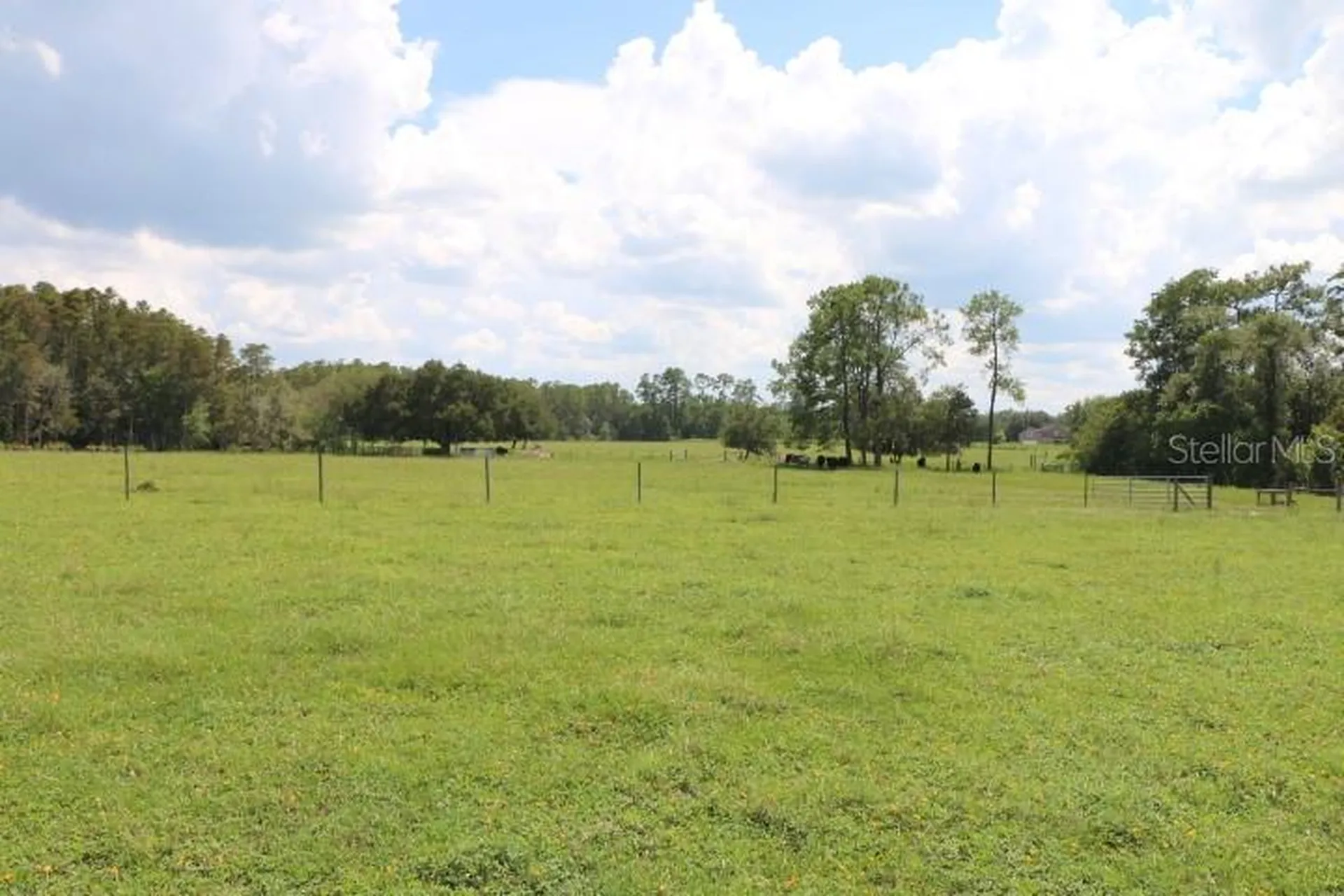 Green Swamp Road Clermont FL 34714