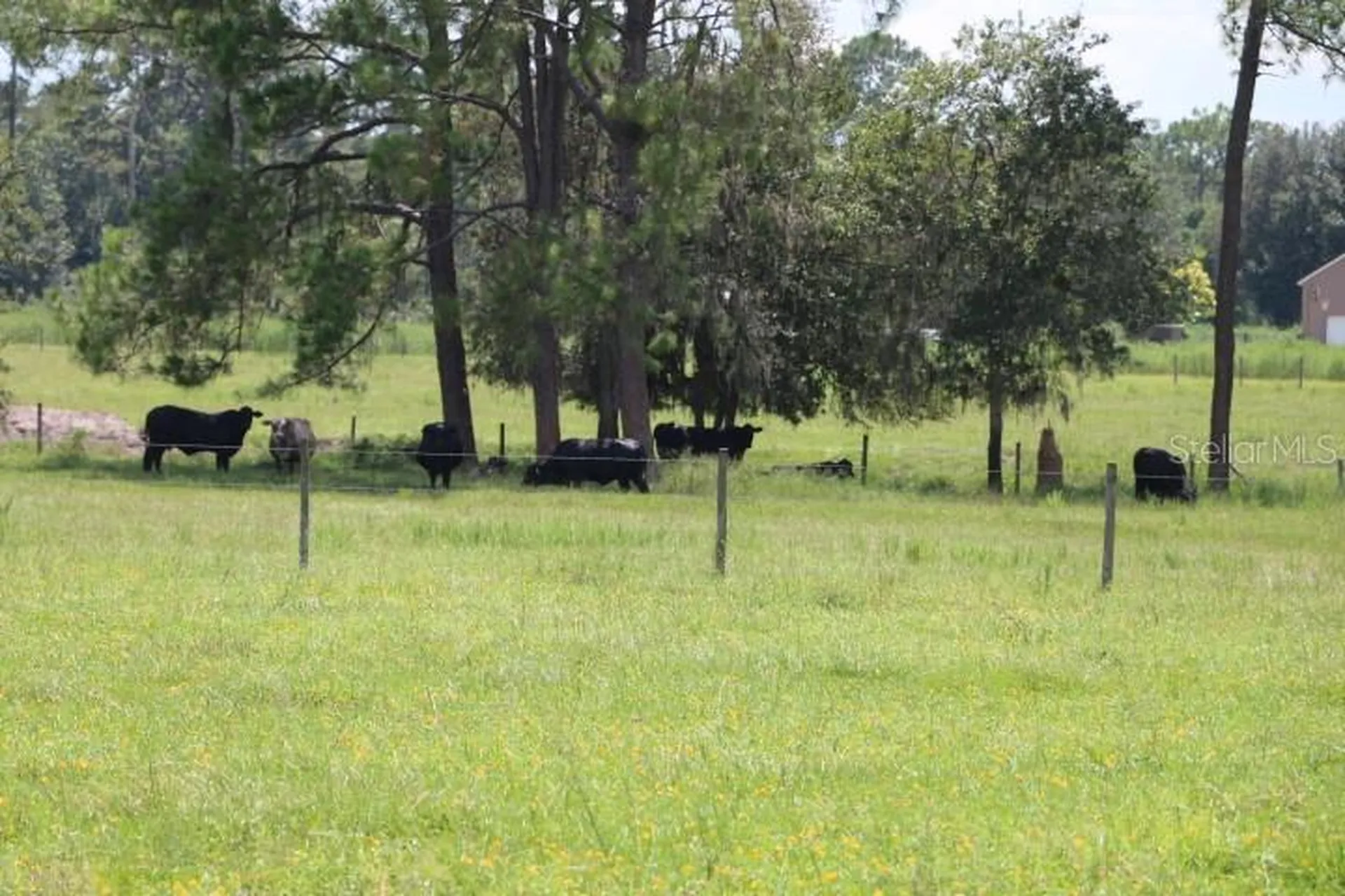 Green Swamp Road Clermont FL 34714