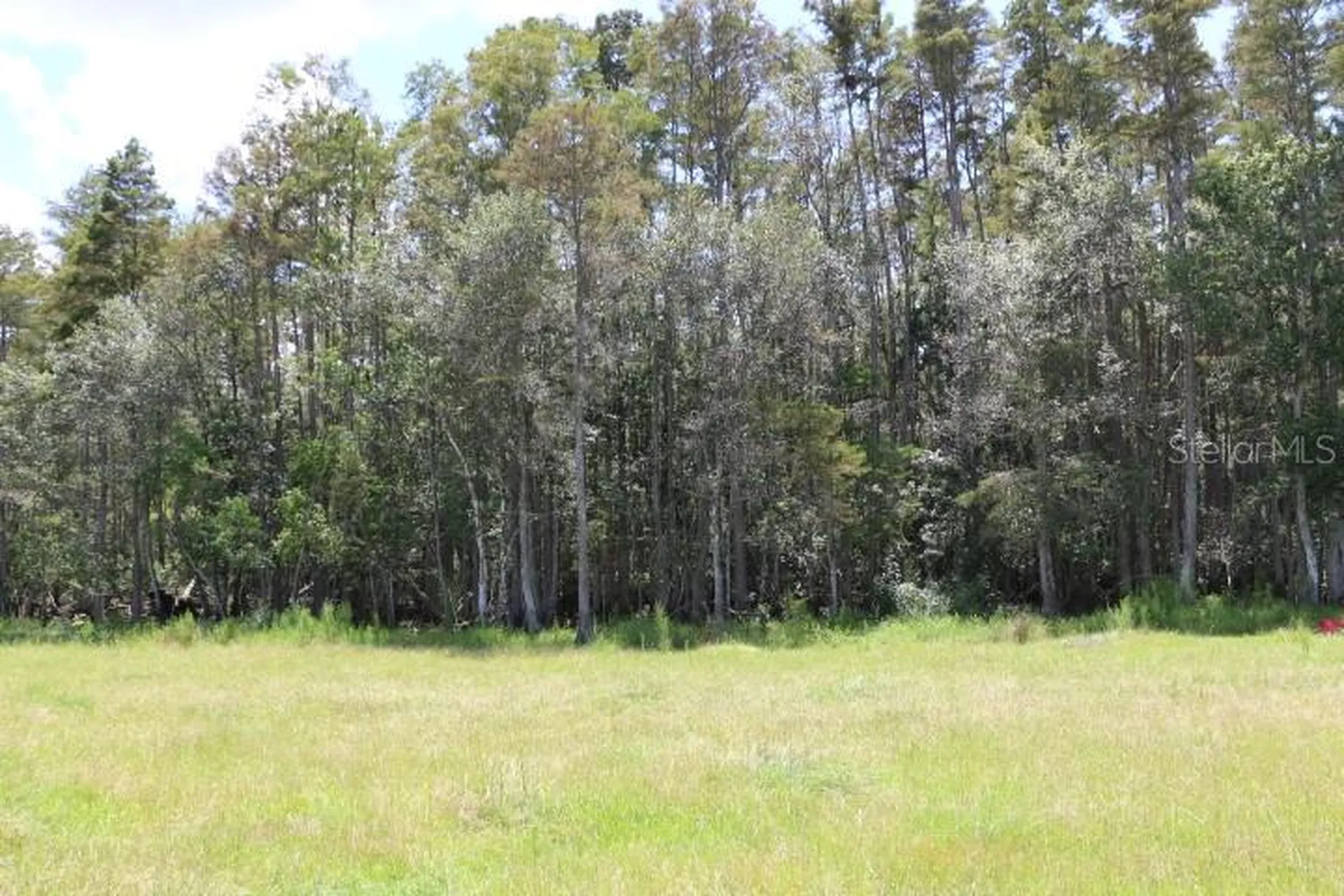 Green Swamp Road Clermont FL 34714