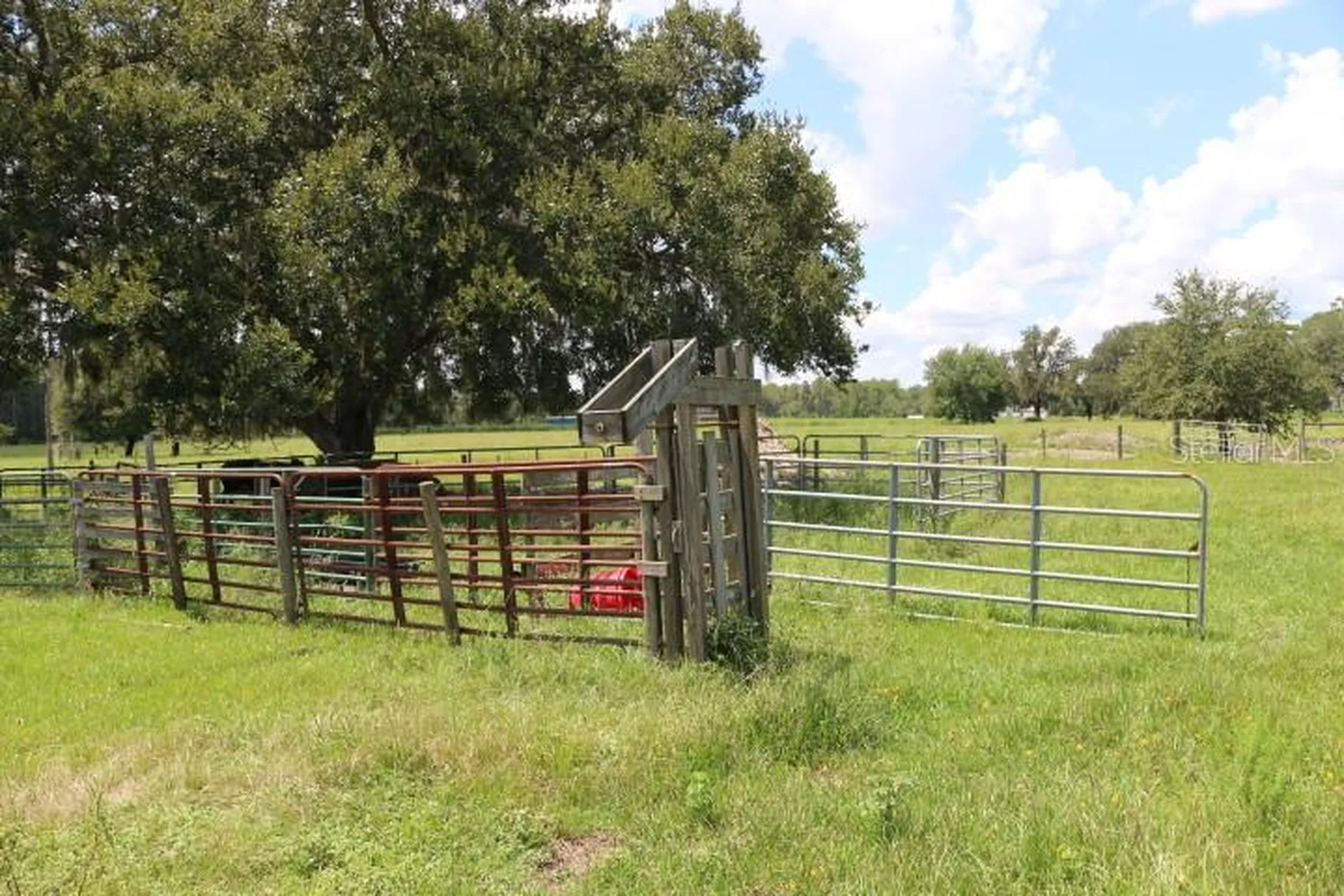 Green Swamp Road Clermont FL 34714