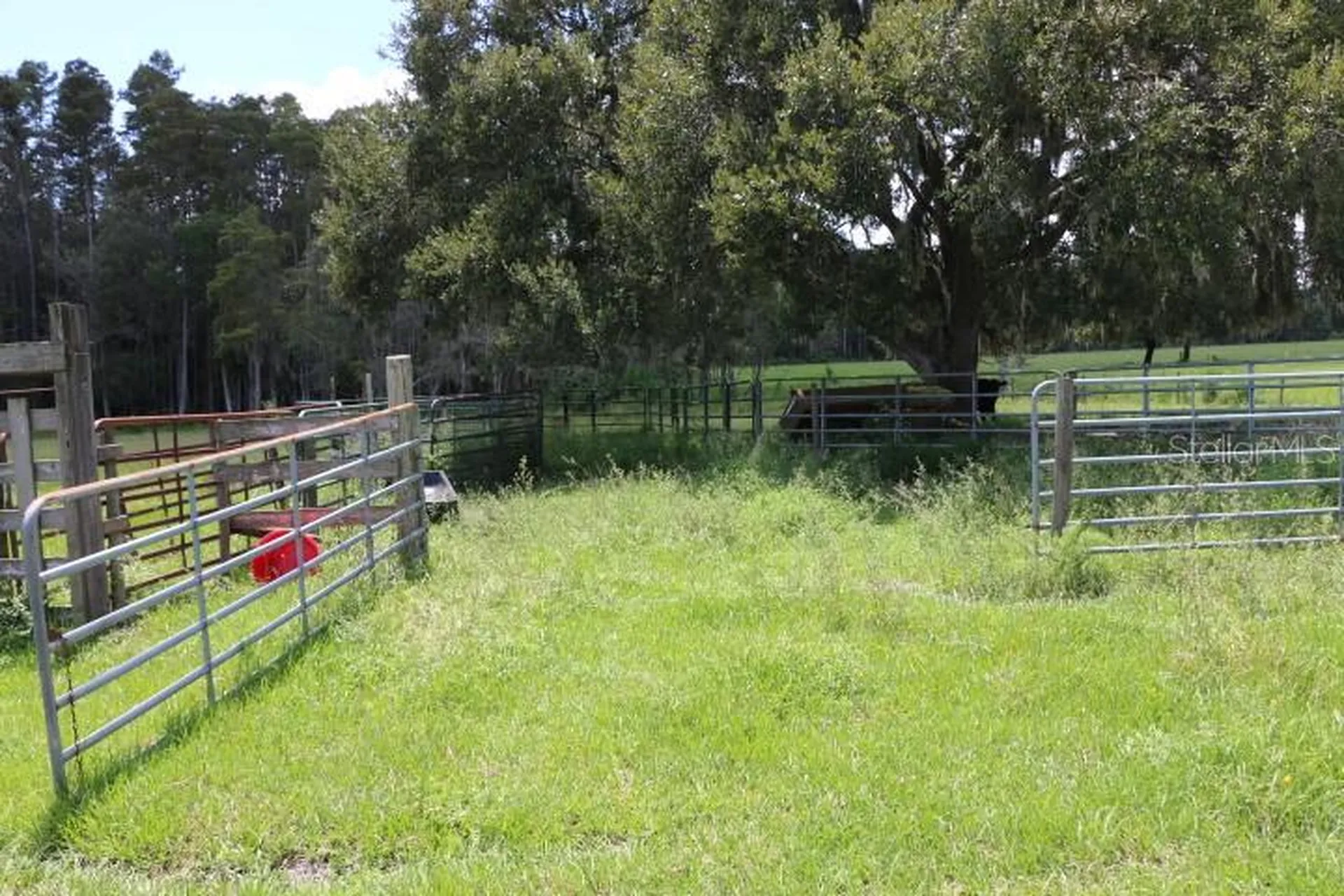 Green Swamp Road Clermont FL 34714