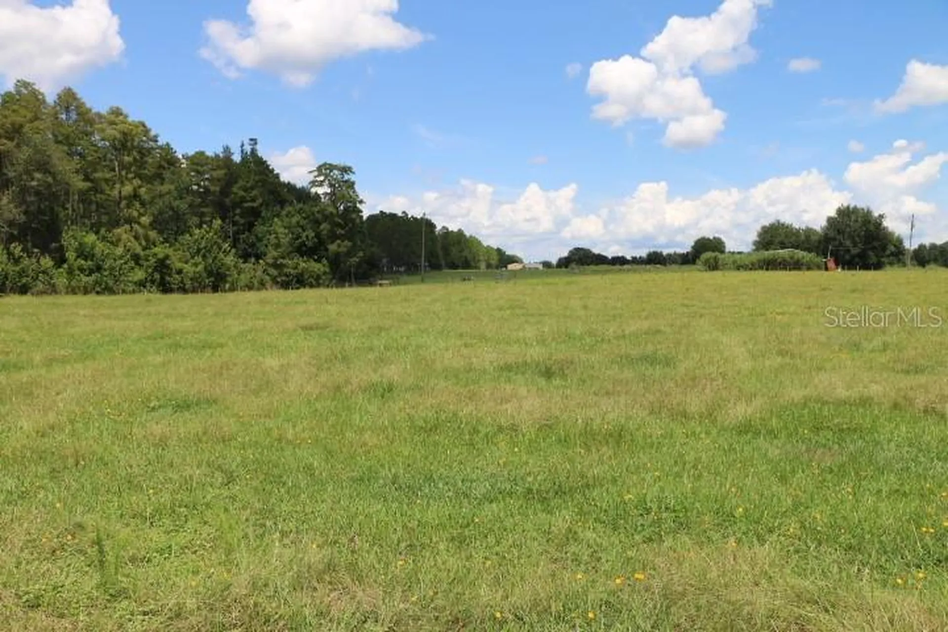 Green Swamp Road Clermont FL 34714