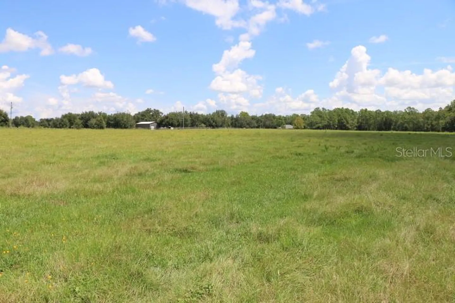 Green Swamp Road Clermont FL 34714